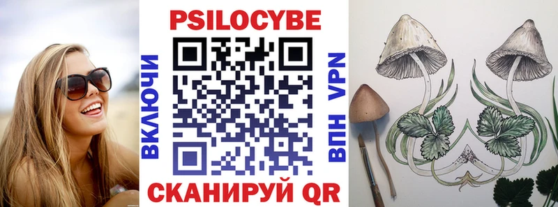 Псилоцибиновые грибы MAGIC MUSHROOMS  Купить закладки  Жигулёвск 